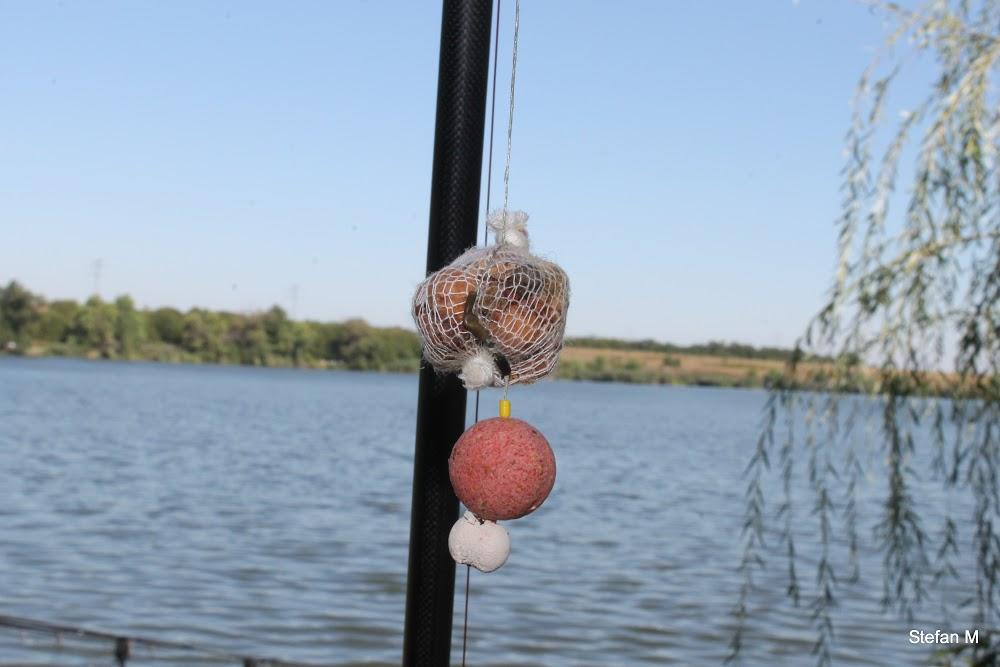 nadirea cu bile - img5597.JPG